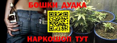 ПСИЛОЦИБИНОВЫЕ ГРИБЫ Балахна