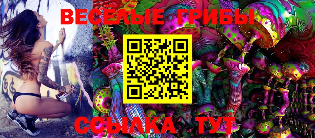 где продают наркотики  Вход с VPN  Железногорск  Псилоцибиновые грибы Magic Shrooms 